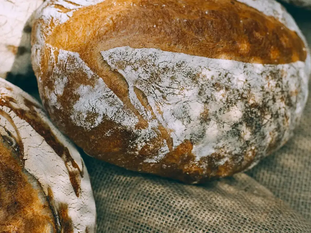 Gros plan sur un pain au levain fariné, à la croûte dorée et grignée